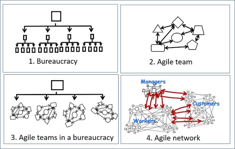 Agile network - 4 images